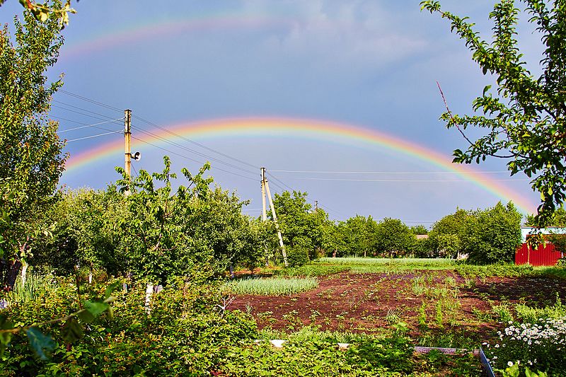 File:Радуга над дачным поселком - panoramio.jpg