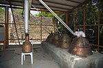 Thumbnail for File:مراسم گلابگیری در قمصر کاشان Golabgiri ("making Rosewater") - Ghamsar- Kashan- Iran 28.jpg