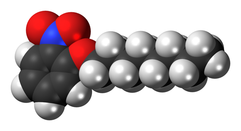 File:1-(2-Nitrophenoxy)octane-3D-spacefill.png