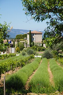 Jardin potager en permaculture du Domaine de Capelongue