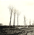 Aanleg van de Hollebeekvijver in 1971