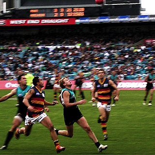 <span class="mw-page-title-main">Showdown (AFL)</span> Derby matches between the Adelaide Crows and Port Adelaide Power in the Australian Football League