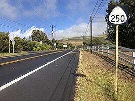 Route 250 northbound at Route 19 in Waiaka