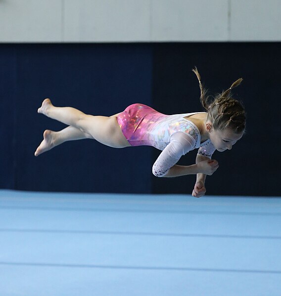 File:2022-11-19 WAG all-around competition II Floor exercise at Jan Gajdoš Memorial 2022 (Martin Rulsch) 255.jpg