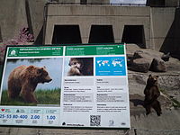 23100420-Sofia-Zoo-mounted-infoboard Ursus arctos arctos (eurasian brown bear)-2.JPG