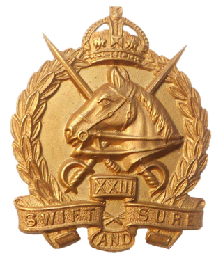 <span class="mw-page-title-main">23rd Light Horse Regiment</span> Australian Army mounted regiment