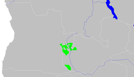 Western Zambezian Grasslands