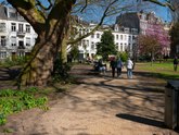 File:A city park with historical old plane trees as natural monuments. People are walking over the gravel path in the sun; in the background the house facades of the Plantage Muidergracht. Free photo Amsterdam nature by Fons Heijnsbroek, 27 March 2022