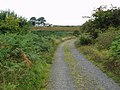 Airie from the old railway track - geograph.org.uk - 550861.jpg