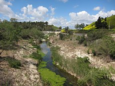 A creek filled with algae flows at the bottom of a vegetated gully.