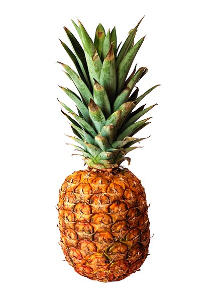 The inclusion of a pineapple in nearly every episode of the series began with an improvisation by James Roday