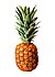 Ananas~May 2008-1.jpg