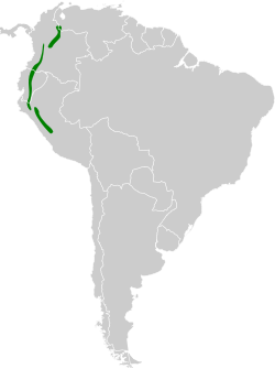 Distribución geográfica de la tangara ventriescarlata (grupo lunulatus)