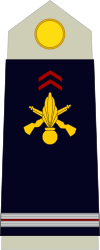 Ejército-FRA-OR-08.svg