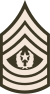 Army-USA-OR-09b (Армейская зелень) .svg