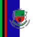 Vlag van Pereiras
