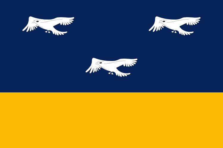 File:Bandeira de Arapongas - PR.svg