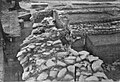 बेसनगर के पुरातात्विक स्तर : सामने वासुदेव का मन्दिर,तथा पीछे हेलिओडोरस स्तम्भ