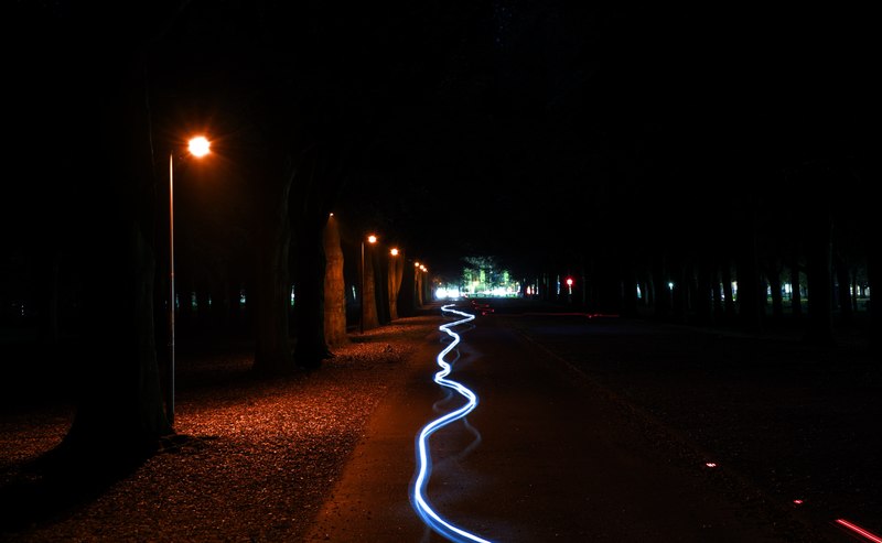 File:Bicycle light trails in Koekamp park (DSCF1546).tif