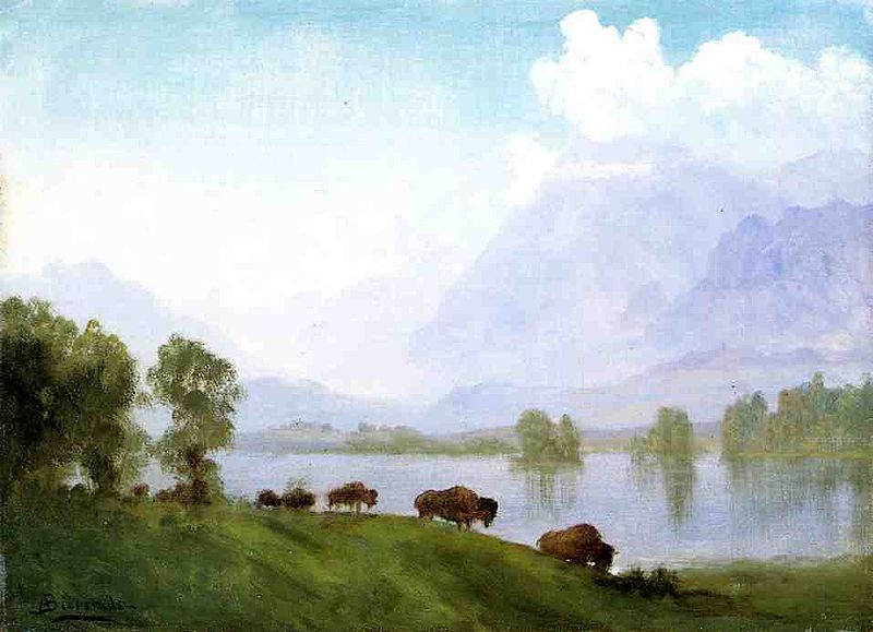 File:Bierstadt Albert Buffalo Country.jpg