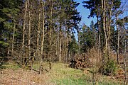 Impressionen aus dem Biospärenreservat Rhön an der hessisch-thüringischen Landesgrenze nahe Frankenheim/Rhön am Parkplatz "Westliches Rhönvorland"