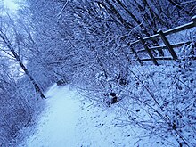 Blackwater Valley Path in winter.jpg