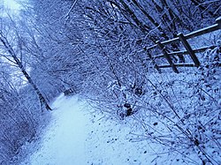 Путь в долину Блэкуотер зимой.jpg