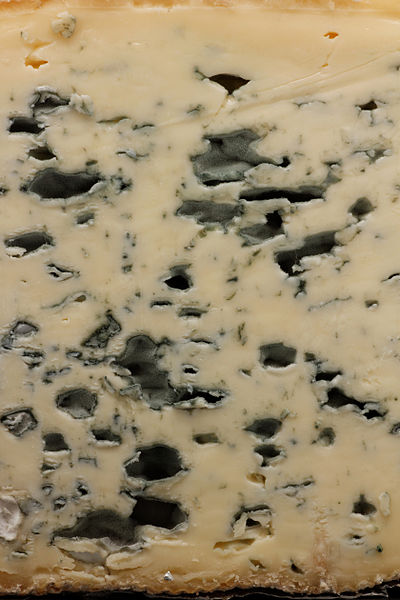 File:Bleu d'Auvergne 06.jpg