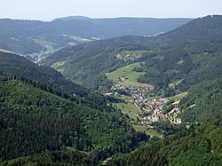 Blick ins Renchtal.JPG