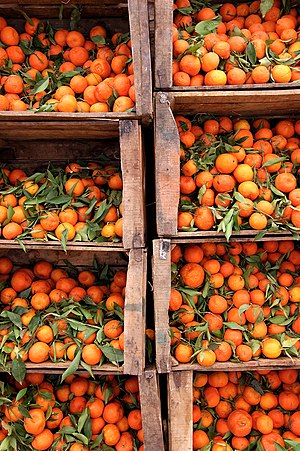 Boumalne du Dades, Oranges.jpg