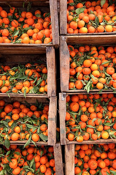 File:Boumalne du Dades, Oranges.jpg