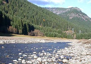 <span class="mw-page-title-main">Willamette National Forest</span> United States national forest in Oregon