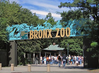 Cómo llegar a Bronx Zoo en transporte público - Sobre el lugar