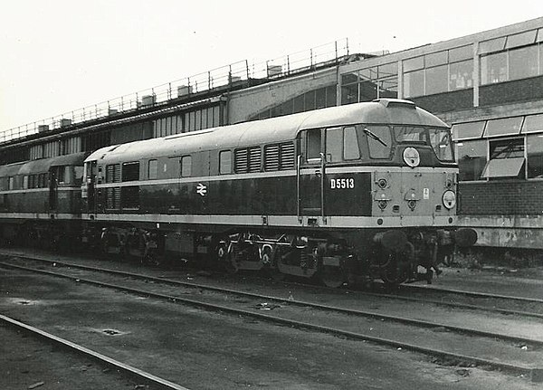 D5513, one of the original batch, in BR green livery