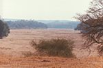 Vignette pour Parc national Gonarezhou