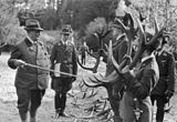 Hermann Göring, titulován „Reichsforstmeister”, „Reichsjägermeister” (přímo dozoroval ústřední říšský orgán „Reichsforstamt”), na lovu r. 1939, protektorátní lesnická, dřevařská a honební agenda byla spravována samostatně a oddělena od zemědělství a výživy