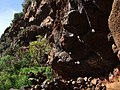 Cueva de Buracas