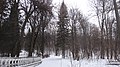 Bykovo, Moskovskaya oblast', Russia - panoramio (50).jpg