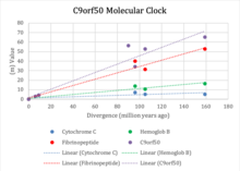 C9orf50 Molecular Clock C9orf50 Molecular Clock.png