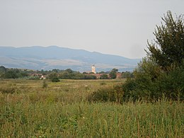 Âne - Vue