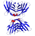 Thumbnail for Cytotoxic T-lymphocyte associated protein 4