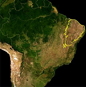 Localização do bioma da Caatinga como definido pelo IBAMA. Imagem de satélite da NASA.
