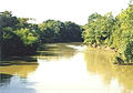 The Cache River near Cotton Plant, Arkansas