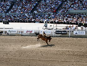 Calgary Stampede Rodeo final day 18 - 2011.jpg