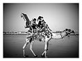 Camel ride on Clifton Beach.jpg