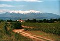 Der Berg Canigou, von Perpignan aus gesehen