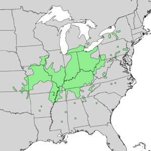 Carya laciniosa range map 1.png