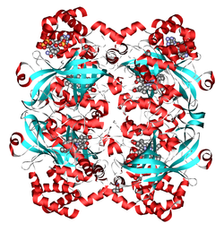 catalase