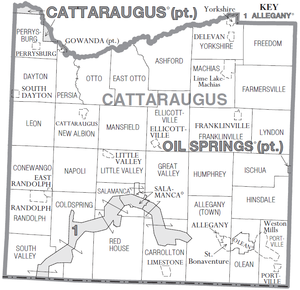 Cattaraugus County, New York Divisions.png