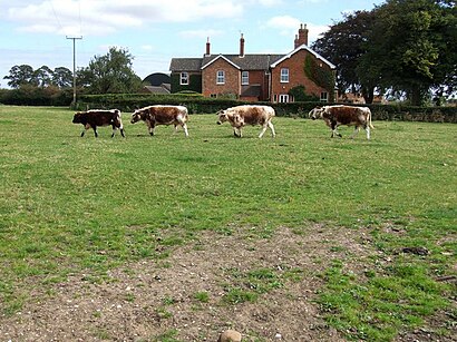 How to get to Miningsby with public transport- About the place